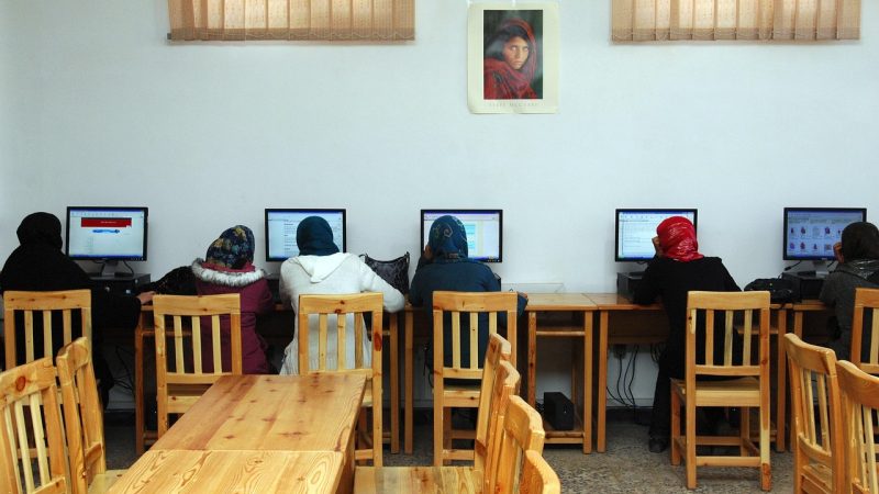 关于五十音，全网都在搜哪些需求 配图